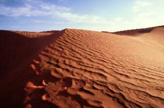 Bild von einer Sandwüste