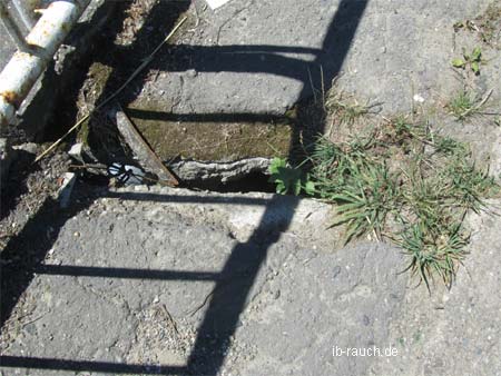 Betonbrücke über Isa