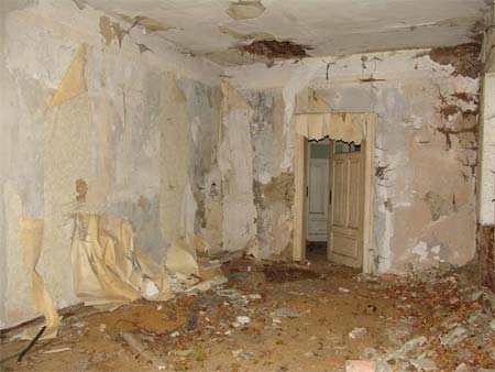 Feuchtigkeitsschaden an Holzbalkendecke