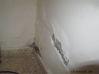 Mould on the wall surface