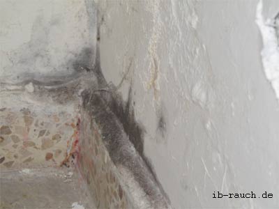 Mould on the wall surface