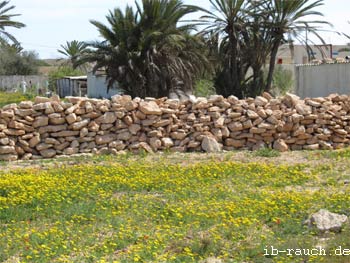Steinmauer auf Djerba