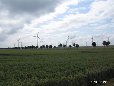 Windpark in Sachsen-Anhalt