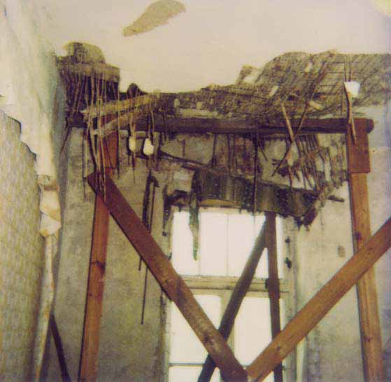 Hausschwammbefall an einer Decke zum Dachboden, die Dampfbremse an der Küchendecke wurde mangelhaft ausgeführt.