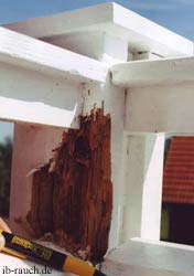 Schäden an Holz durch falsche Farbbeschichtung