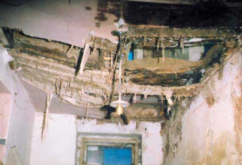 Bild Echter Hausschwamm Schadensbild an einer Holzbalkendecke