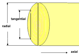 Bild radial, tangential, axial